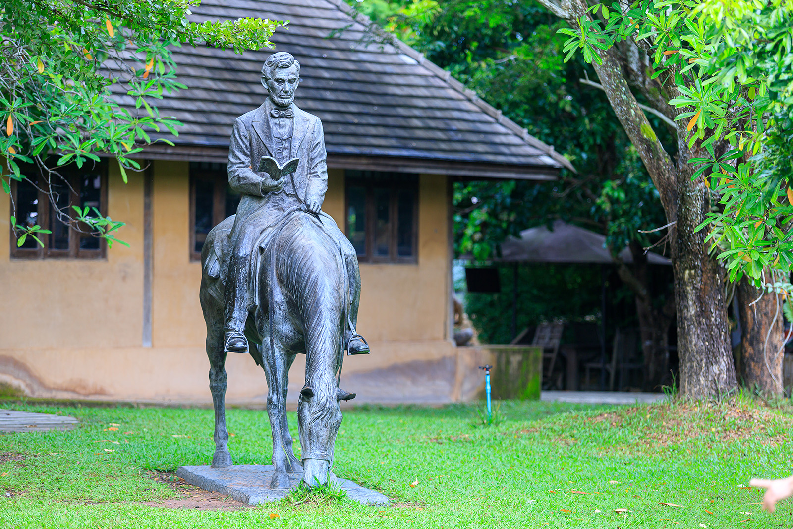 THE LITERATE <br>HORSE RIDER