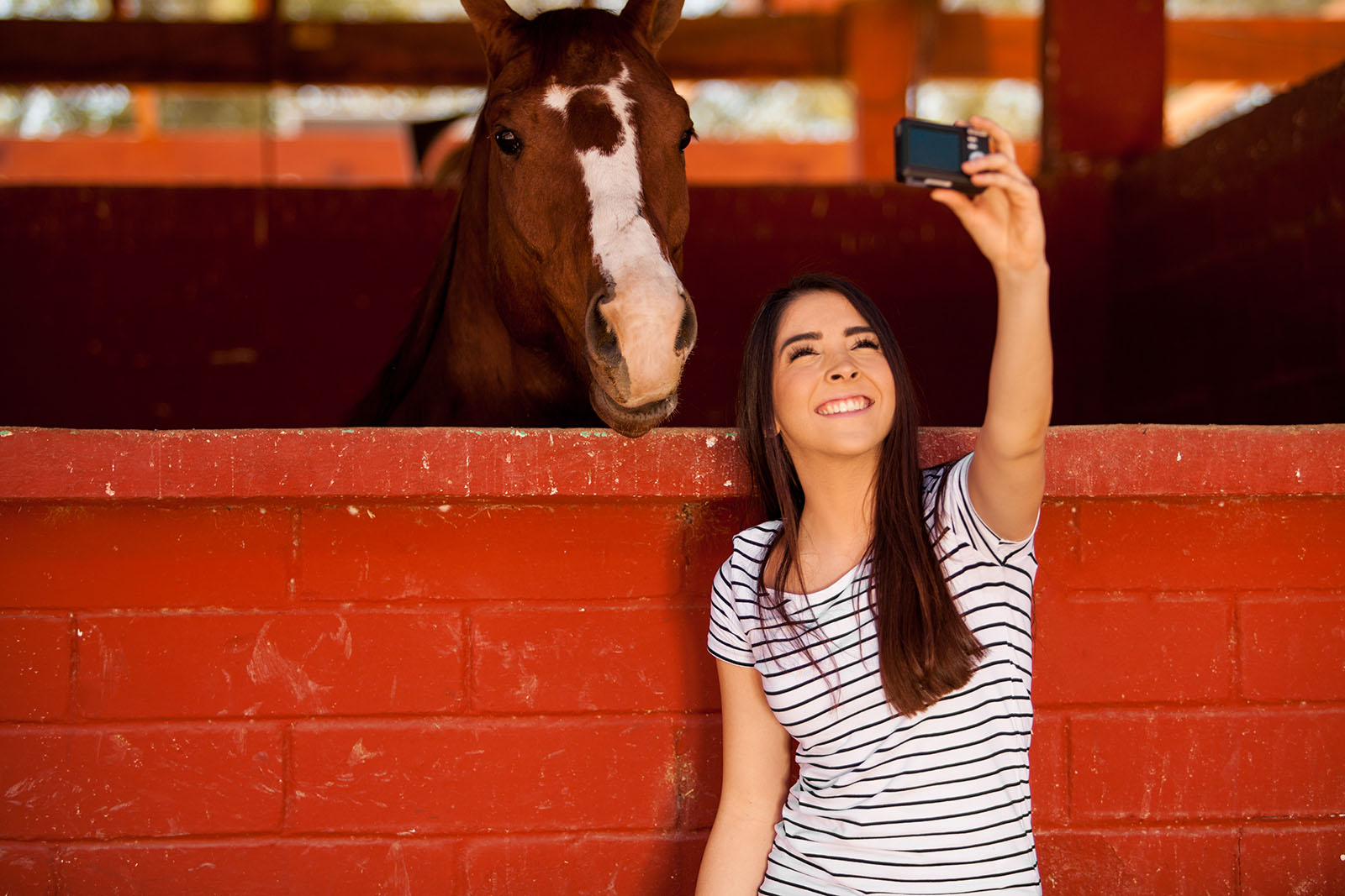 CAN HORSES RECOGNISE YOUR PHOTO?