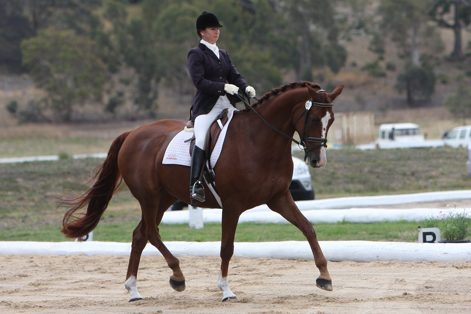 10 TIPS FOR RIDING THE NOVICE TEST
