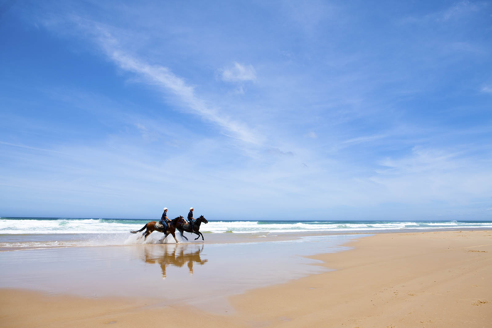 BEACHY SANCTUARY