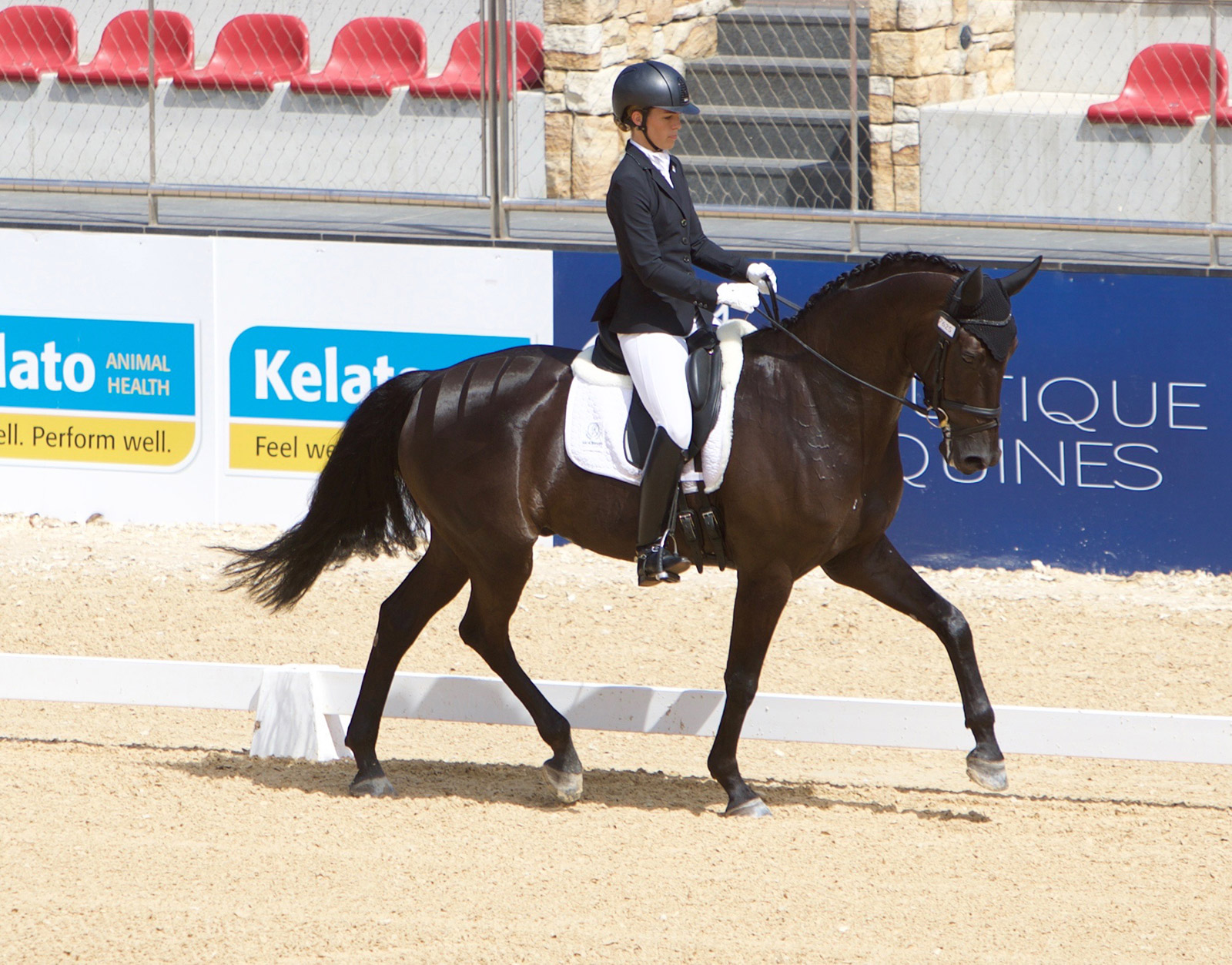 10 TIPS FOR RIDING THE MEDIUM TESTS