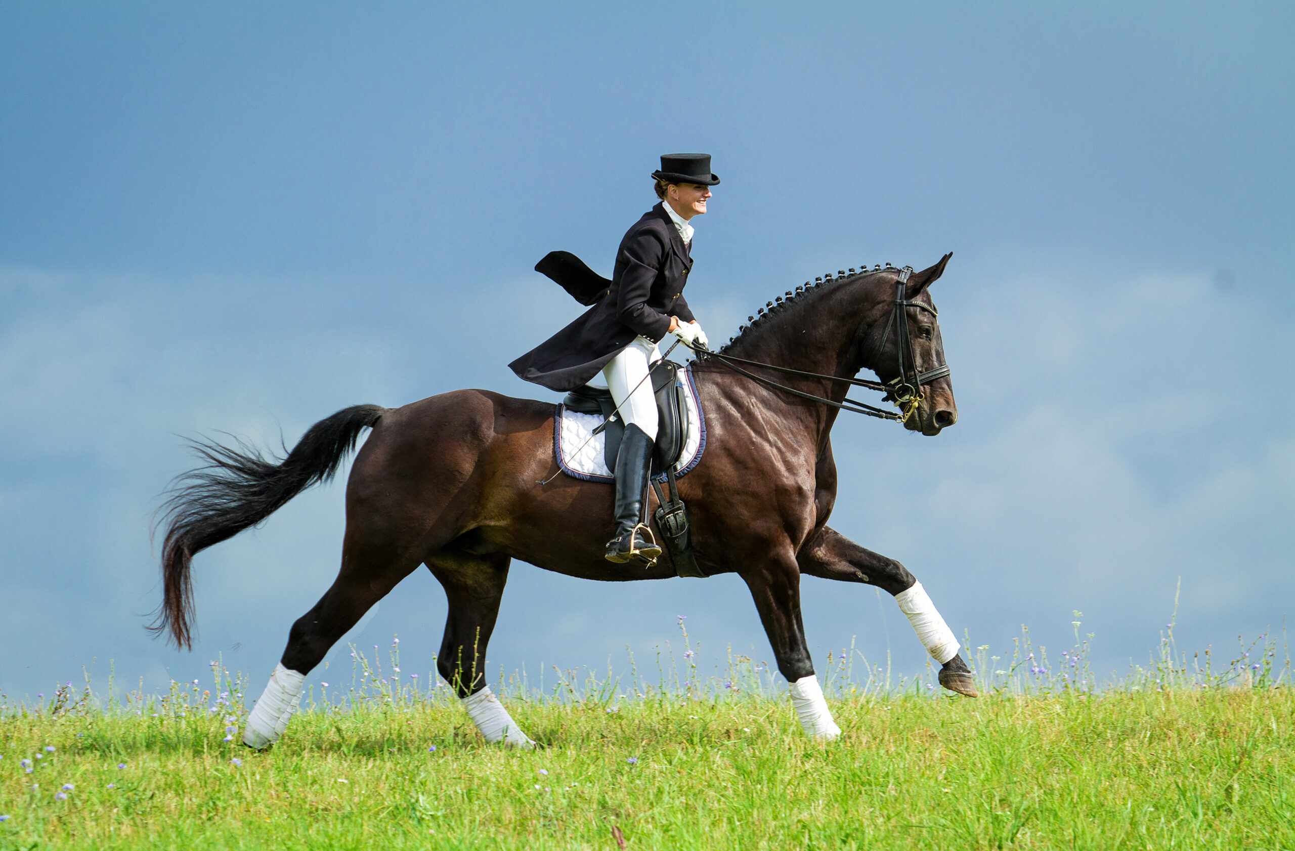 Magazine Banner Image