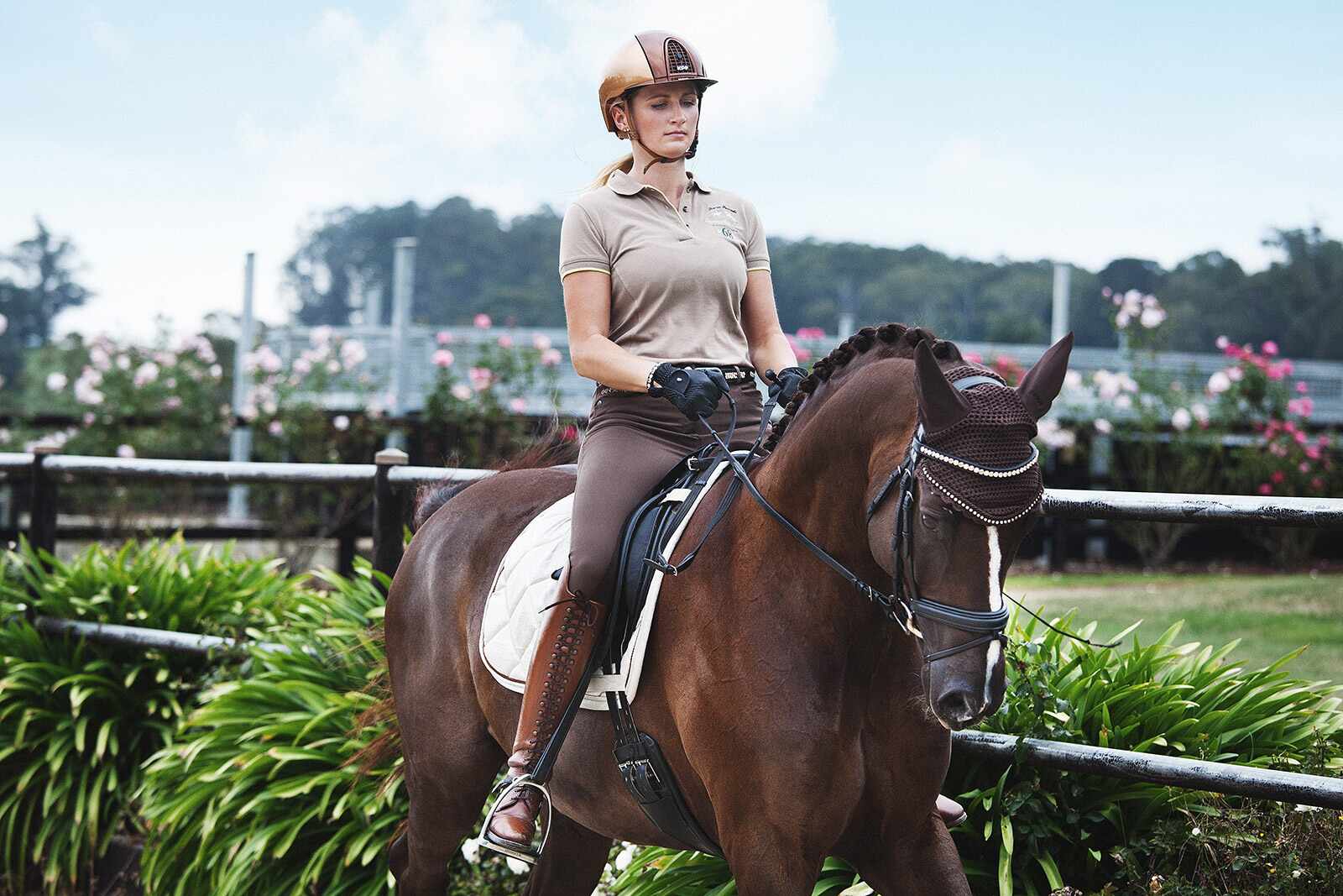 Magazine Banner Image