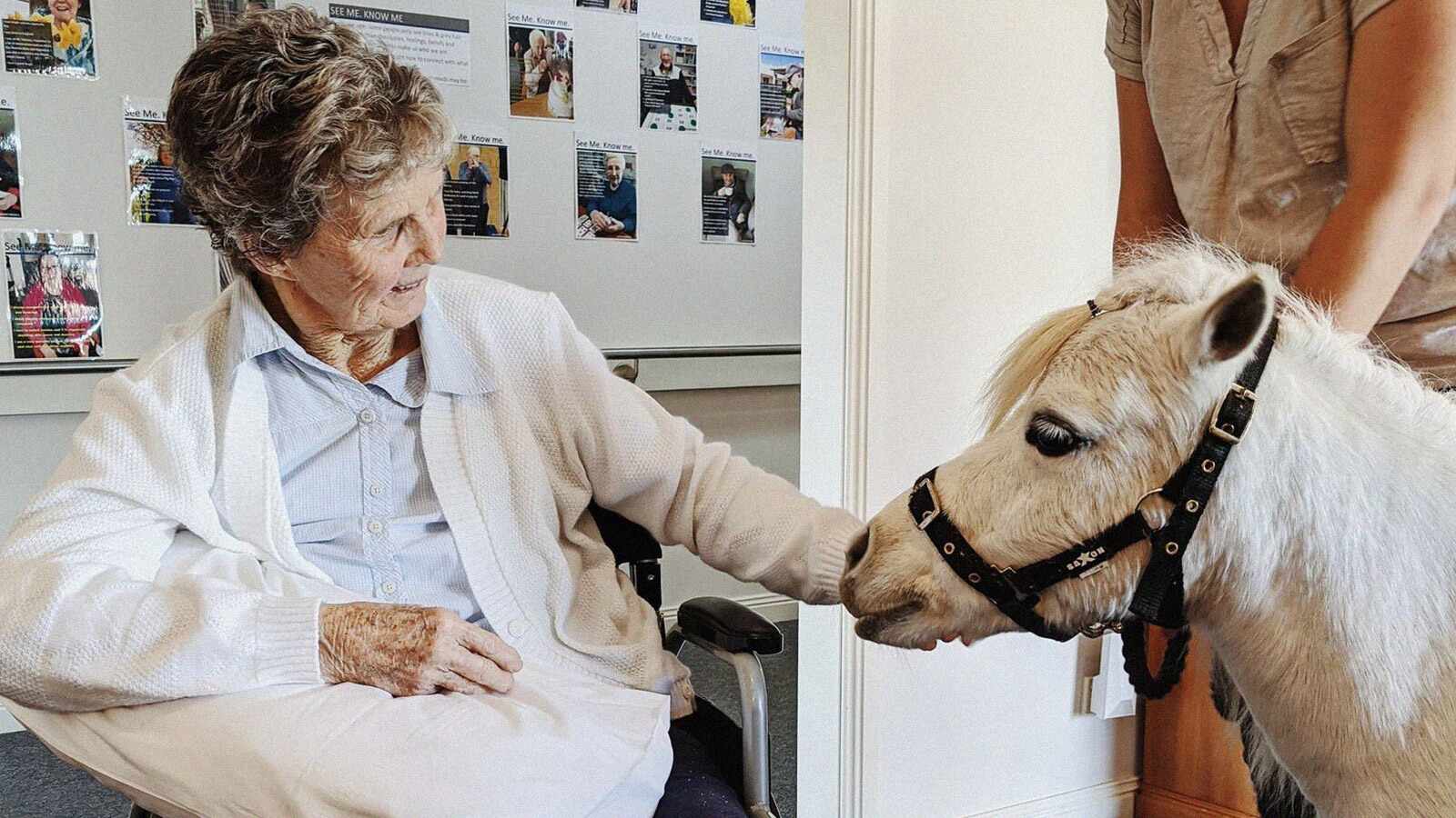 SMALL PONIES WITH <br>BIG HEARTS