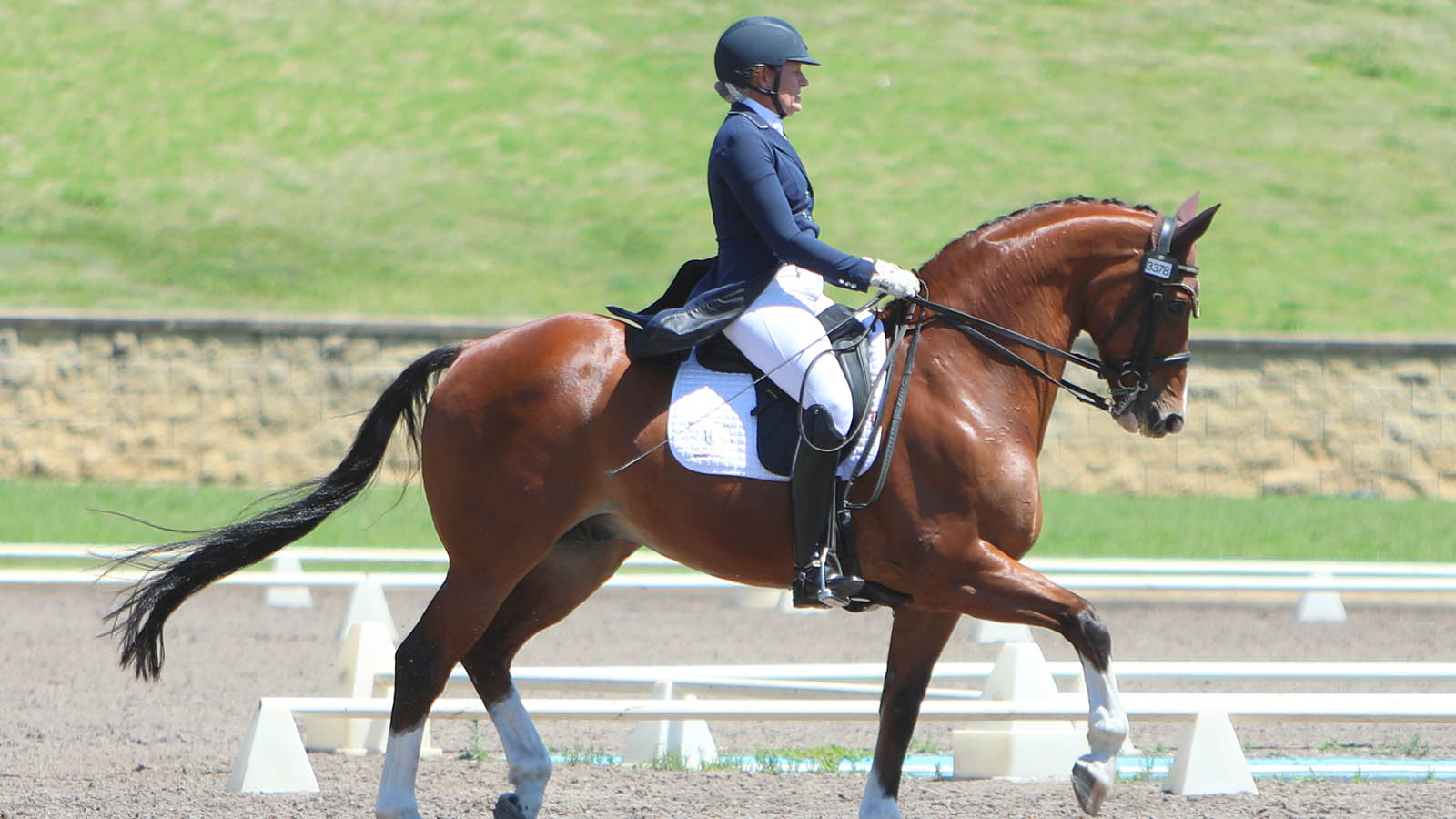 KATINA SMITH, WARMBLOOD DYNAMO