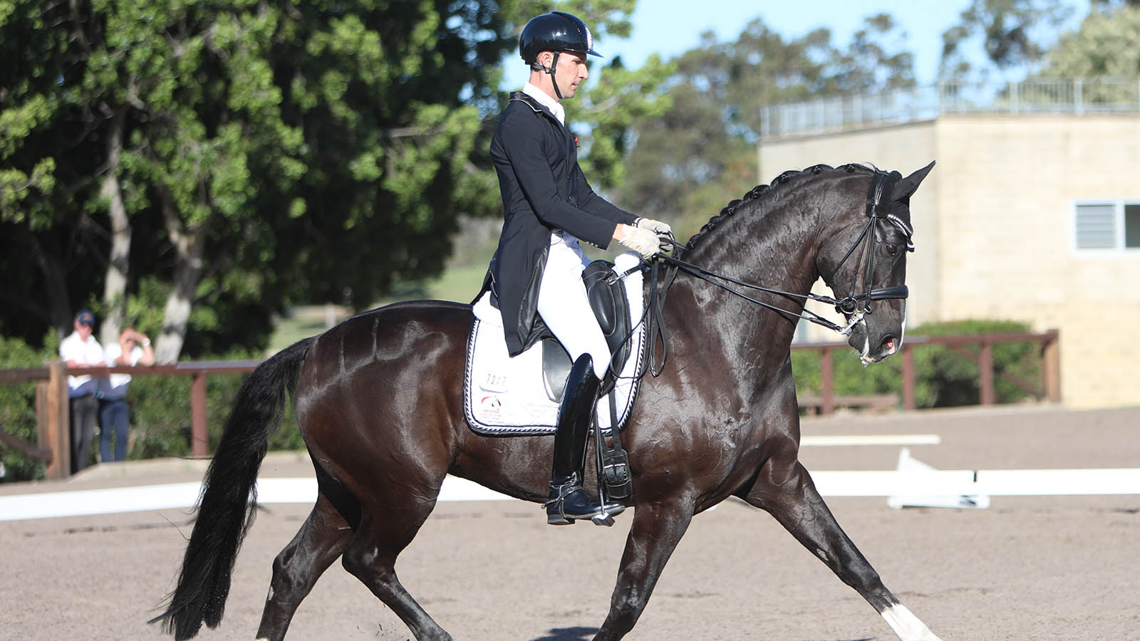 10 TIPS FOR RIDING THE PRIX ST GEORGES TEST