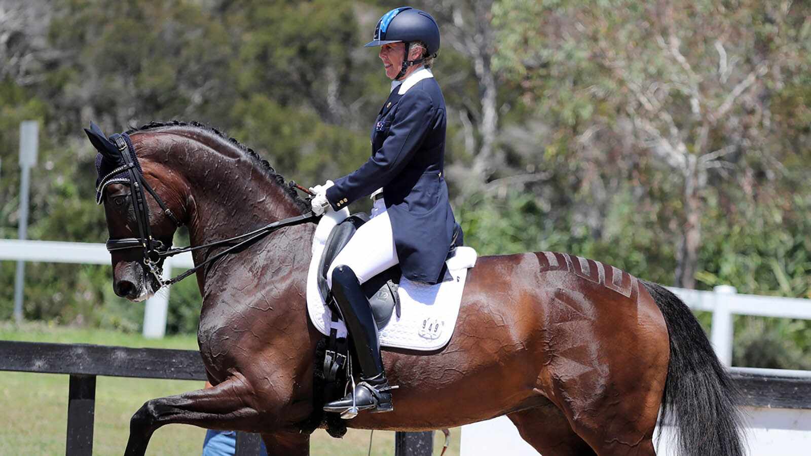 Magazine Banner Image