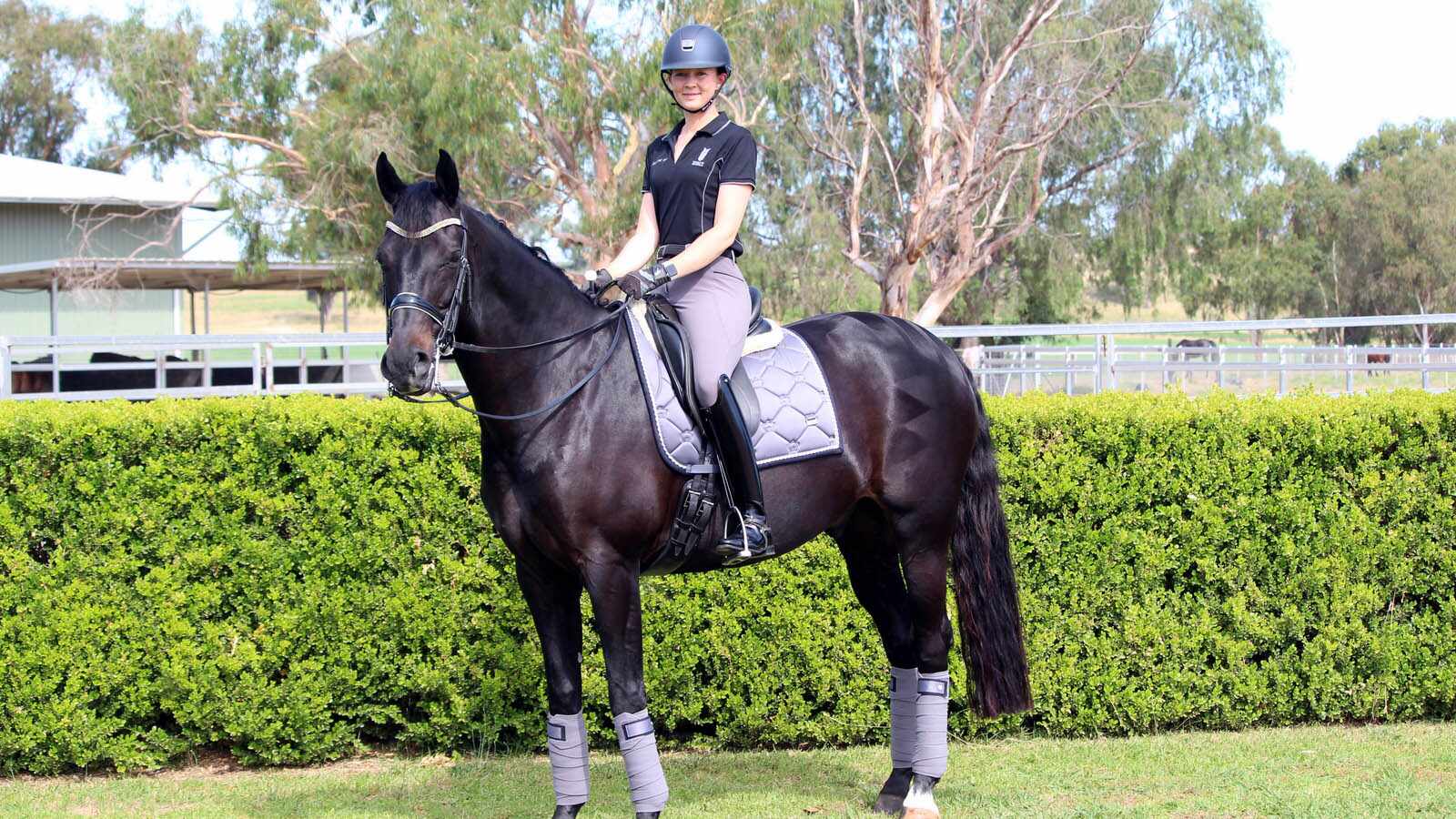 Magazine Banner Image