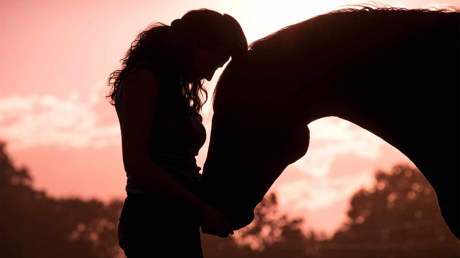 EUTHANASIA, THE TOUGHEST DECISION