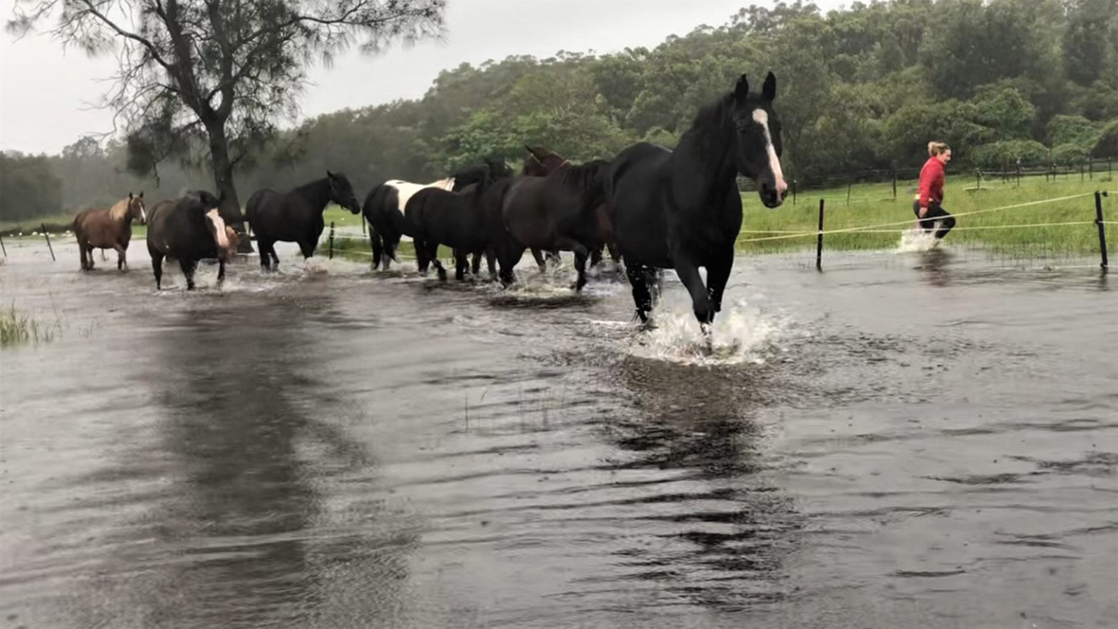 THROUGH HELL OR HIGH WATER