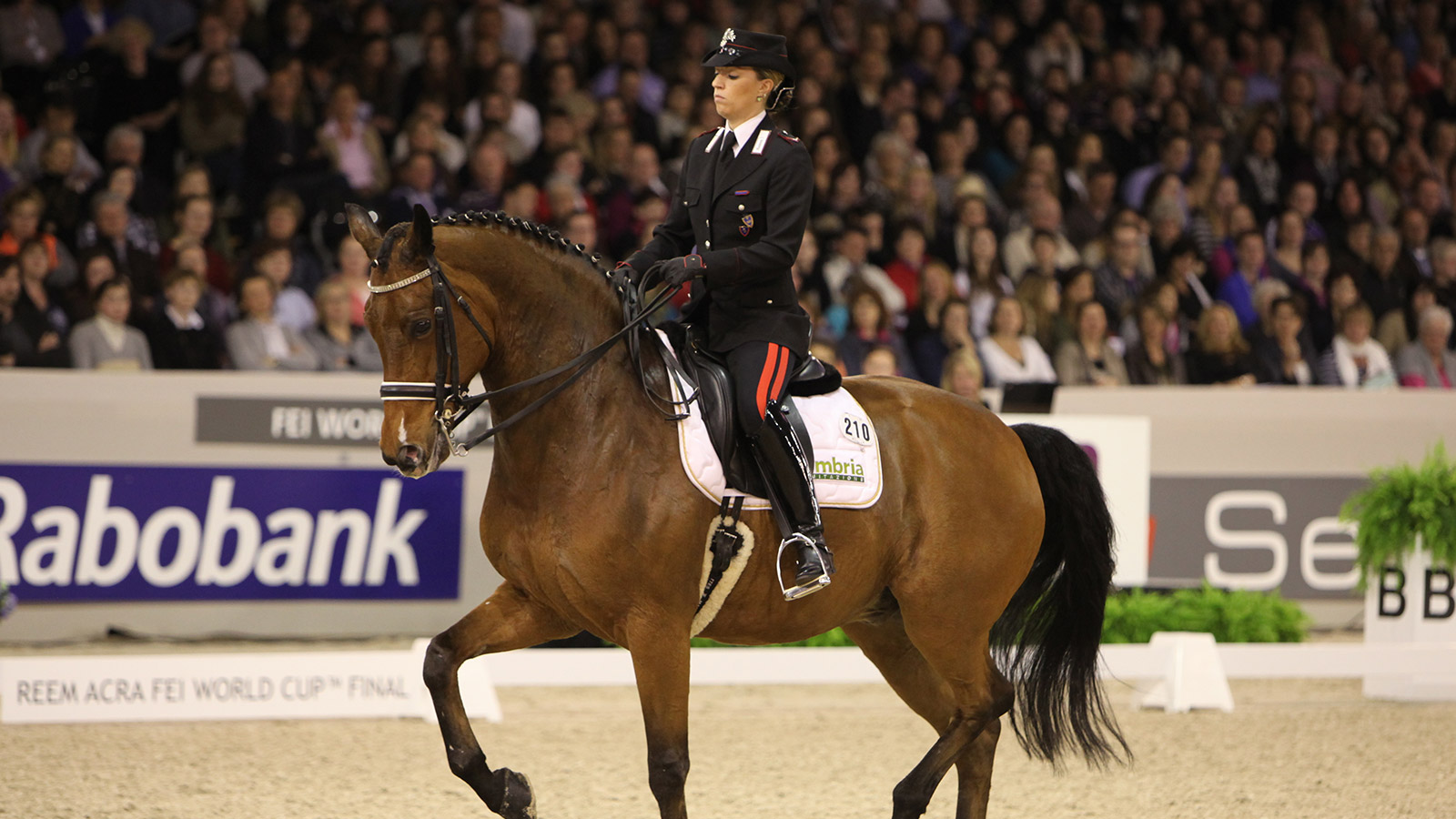 WILL MY HORSE MAKE IT TO GRAND PRIX?