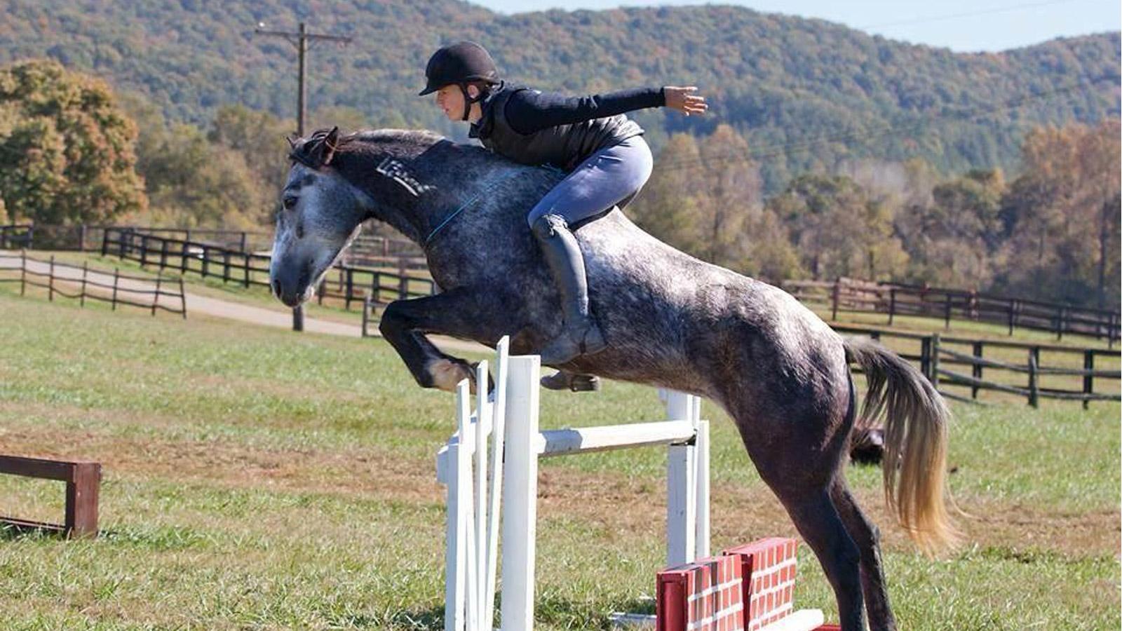 MUSTANG MYSTIQUE MEETS ELISA WALLACE