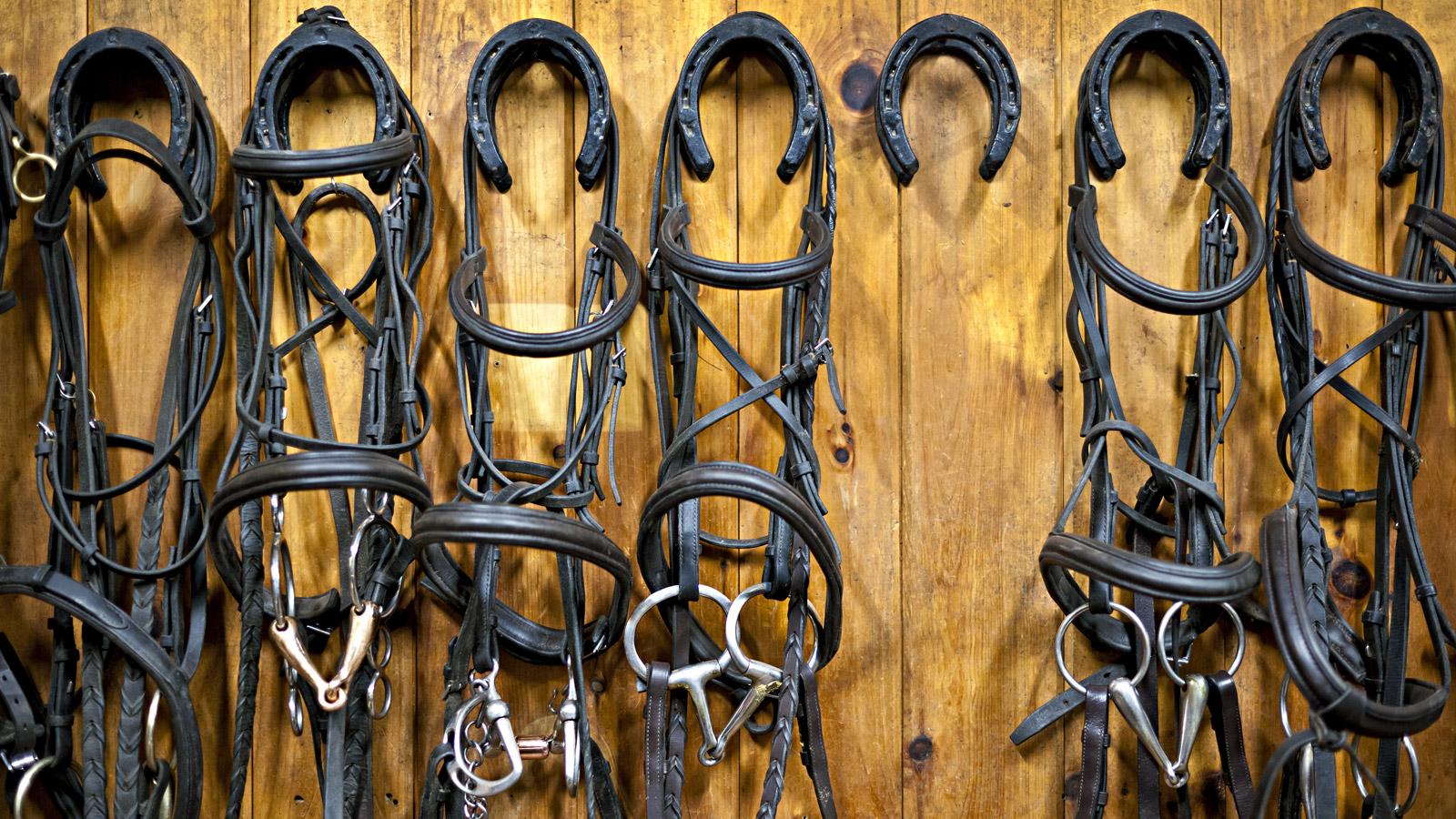 THE INS & OUTS OF BITLESS BRIDLES