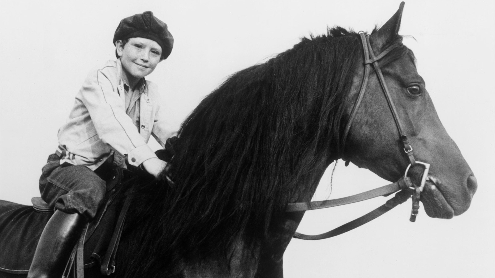 THE MAGIC OF THE BLACK STALLION