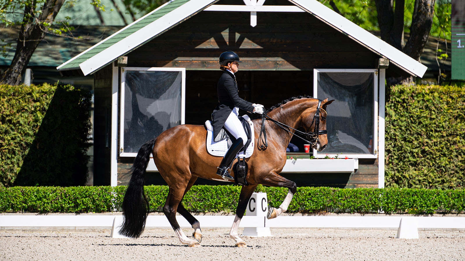 LYNDAL OATLEY HONES IN ON HERNING