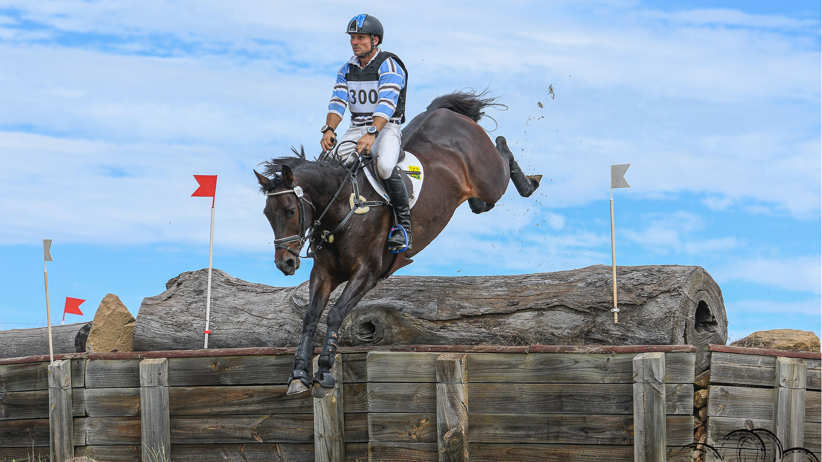 THE EVENTERS, THE DRESSAGE RIDERS<br> & THAT 69%