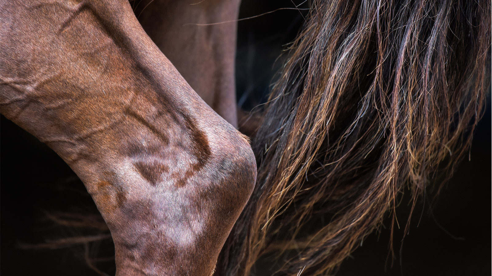 PERI-TARSAL CELLULITIS CALLS FOR QUICK ACTION