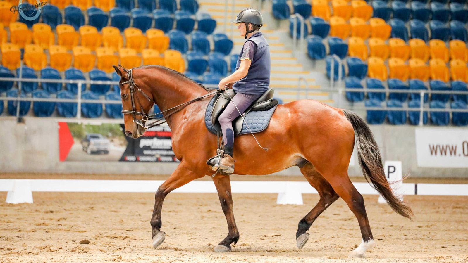 ACTIVE GERIATRICS:<br> EVERYONE’S A WINNER