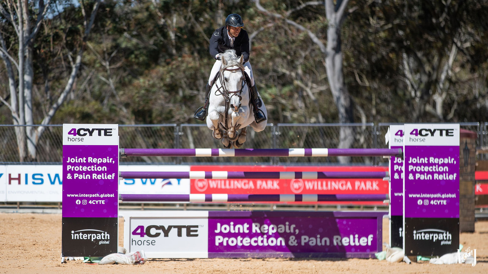 JUMPING@WILLINGA RAISES THE BAR