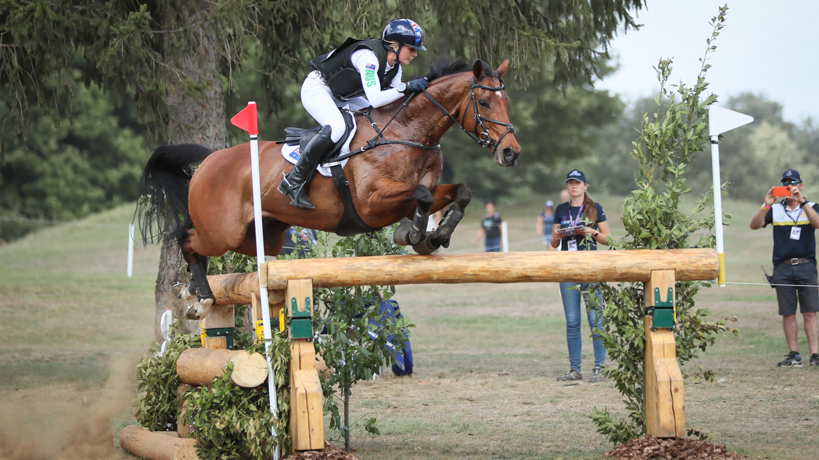 THOROUGHBREDS IN THEIR ELEMENT