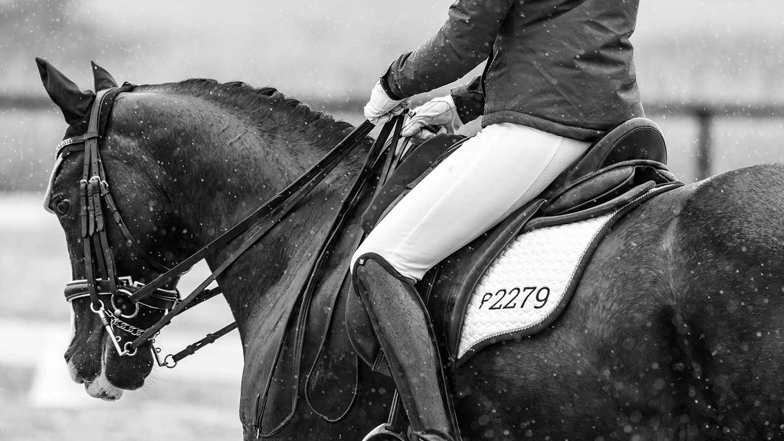 DISCOUNT DYNOMITE PAYS OFF FOR ISOBELLE