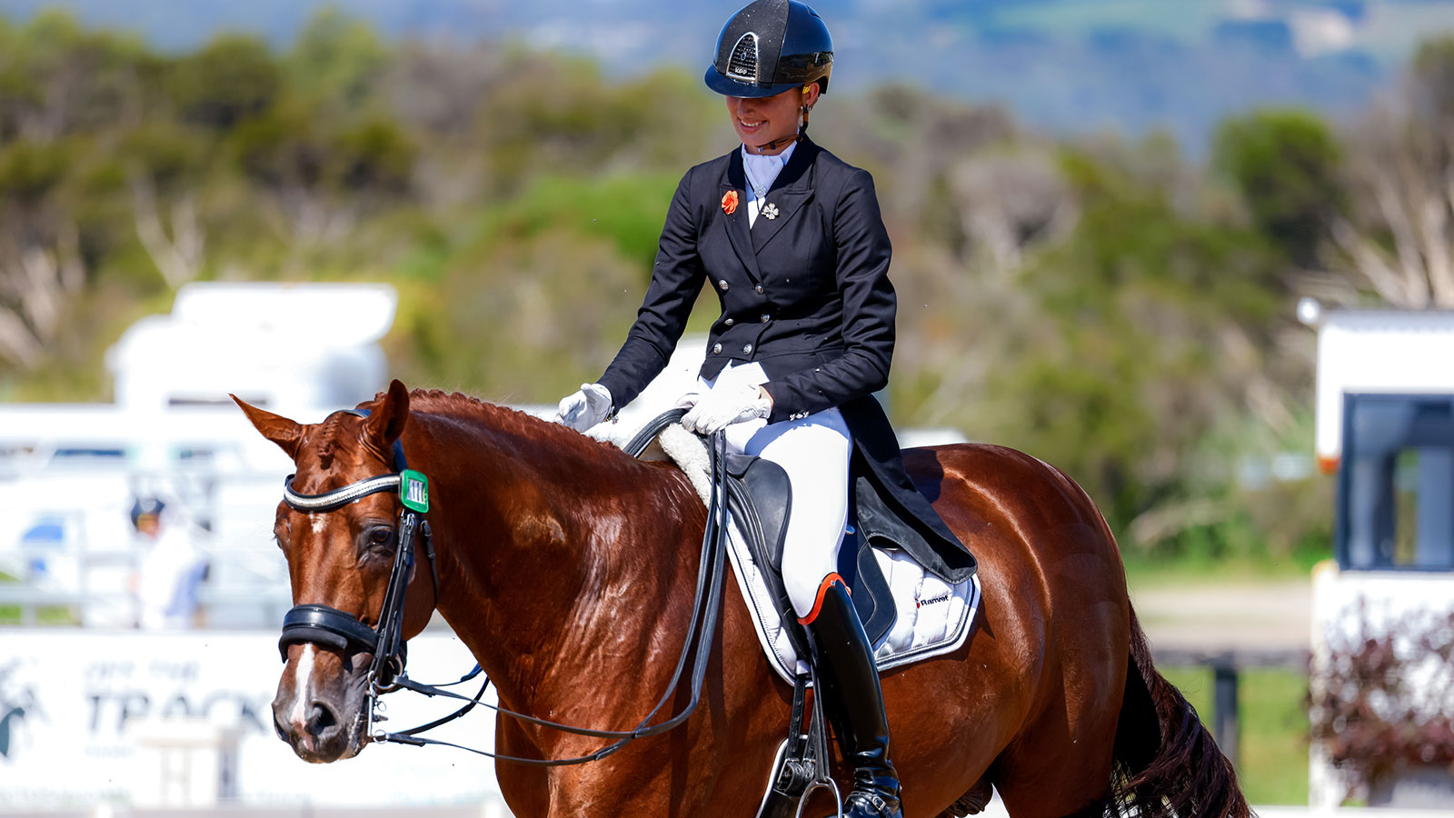 VYDC SHOWCASES FUTURE FEI STARS