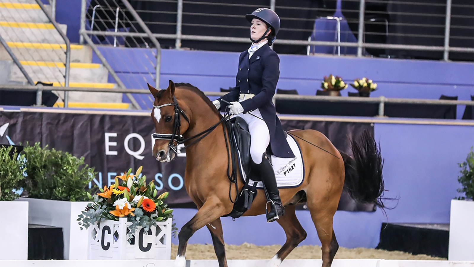 ALISON & DENALI RAISE THE PONY PROFILE