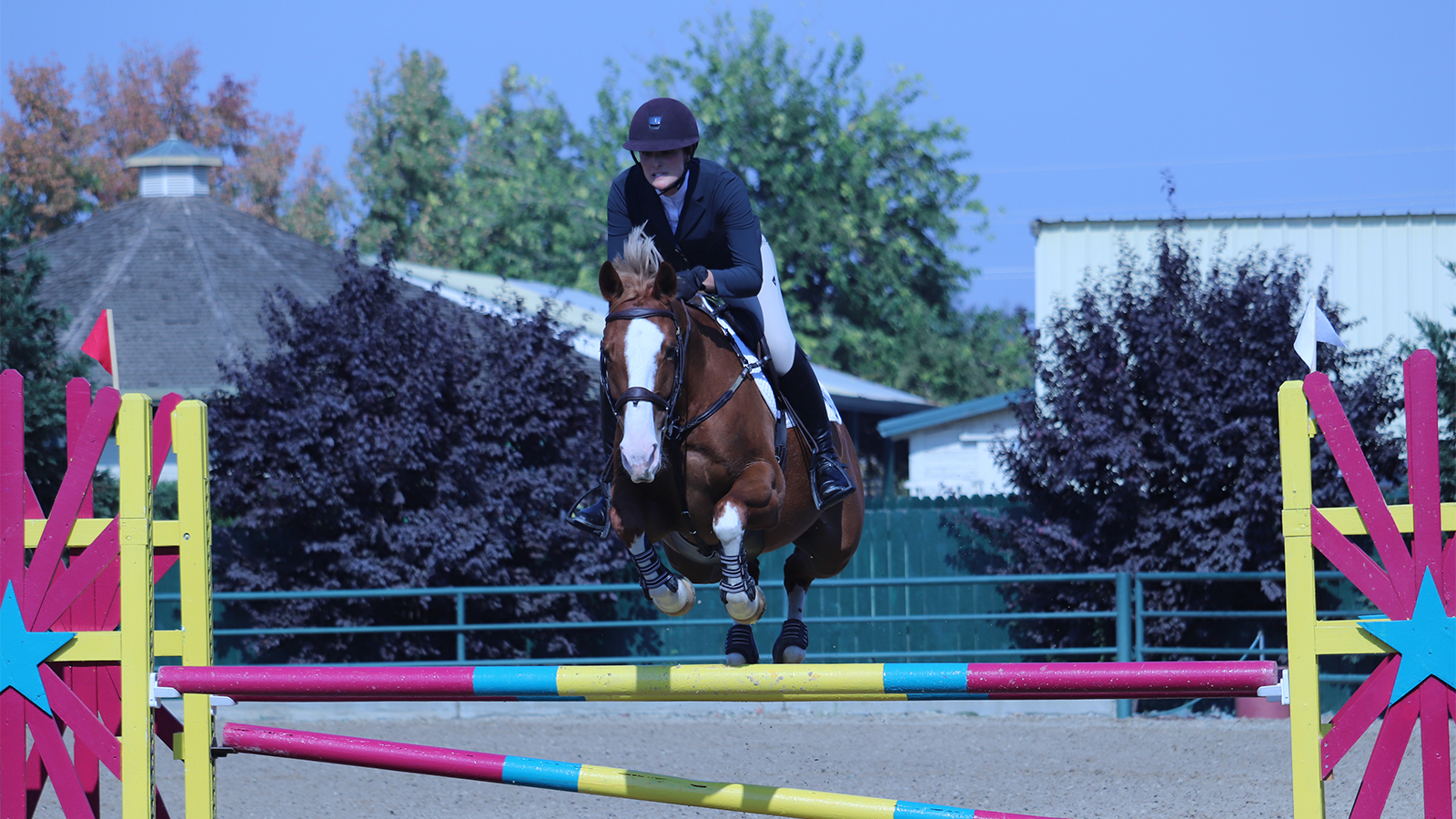 BELLA FULFILS HER AMERICAN DREAM