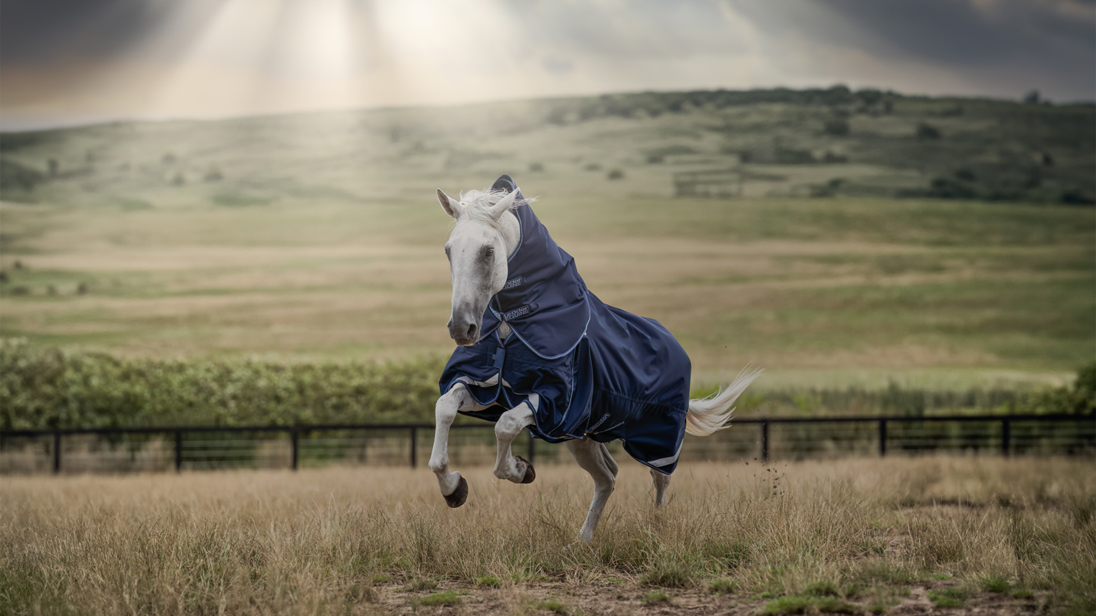HORSE-LED DESIGN: RUGGING OUTSIDE OF THE BOX