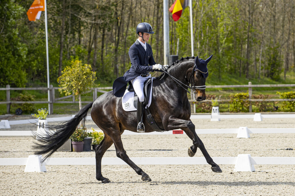 Top ten for Will Matthew at Schafhofs Dressurfestival Equestrian Life