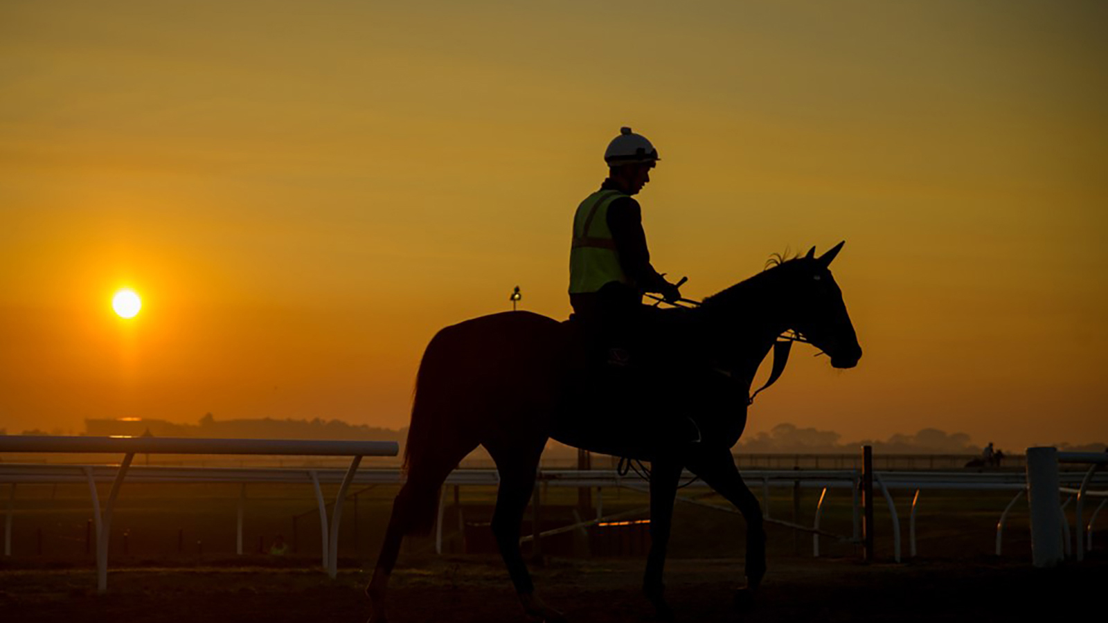 TALKING BLOODLINES WITH GRIFFITHS DE KOCK RACING
