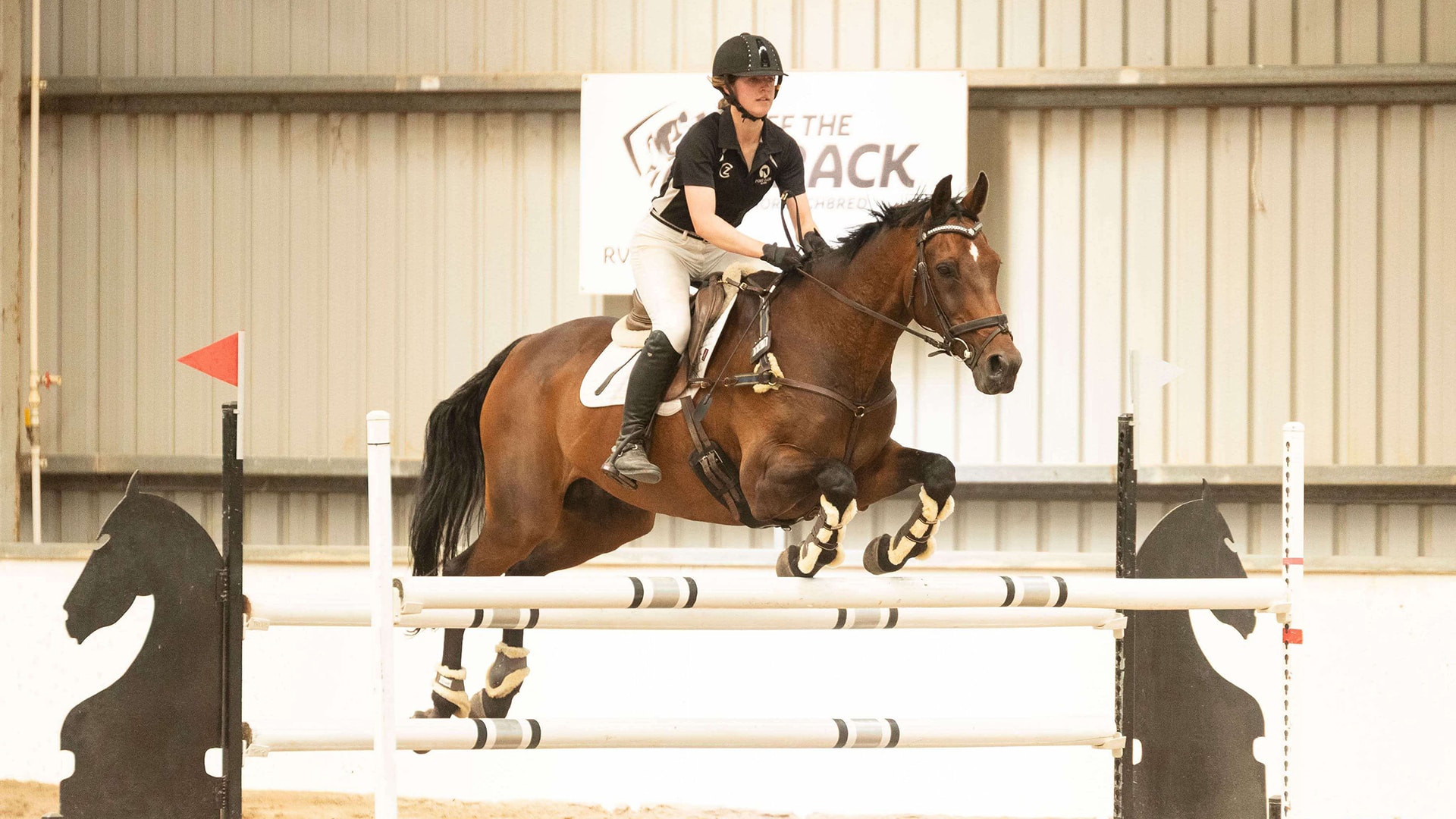 HORSEMANSHIP AT THE HEART OF INTER-PACIFIC EXCHANGE