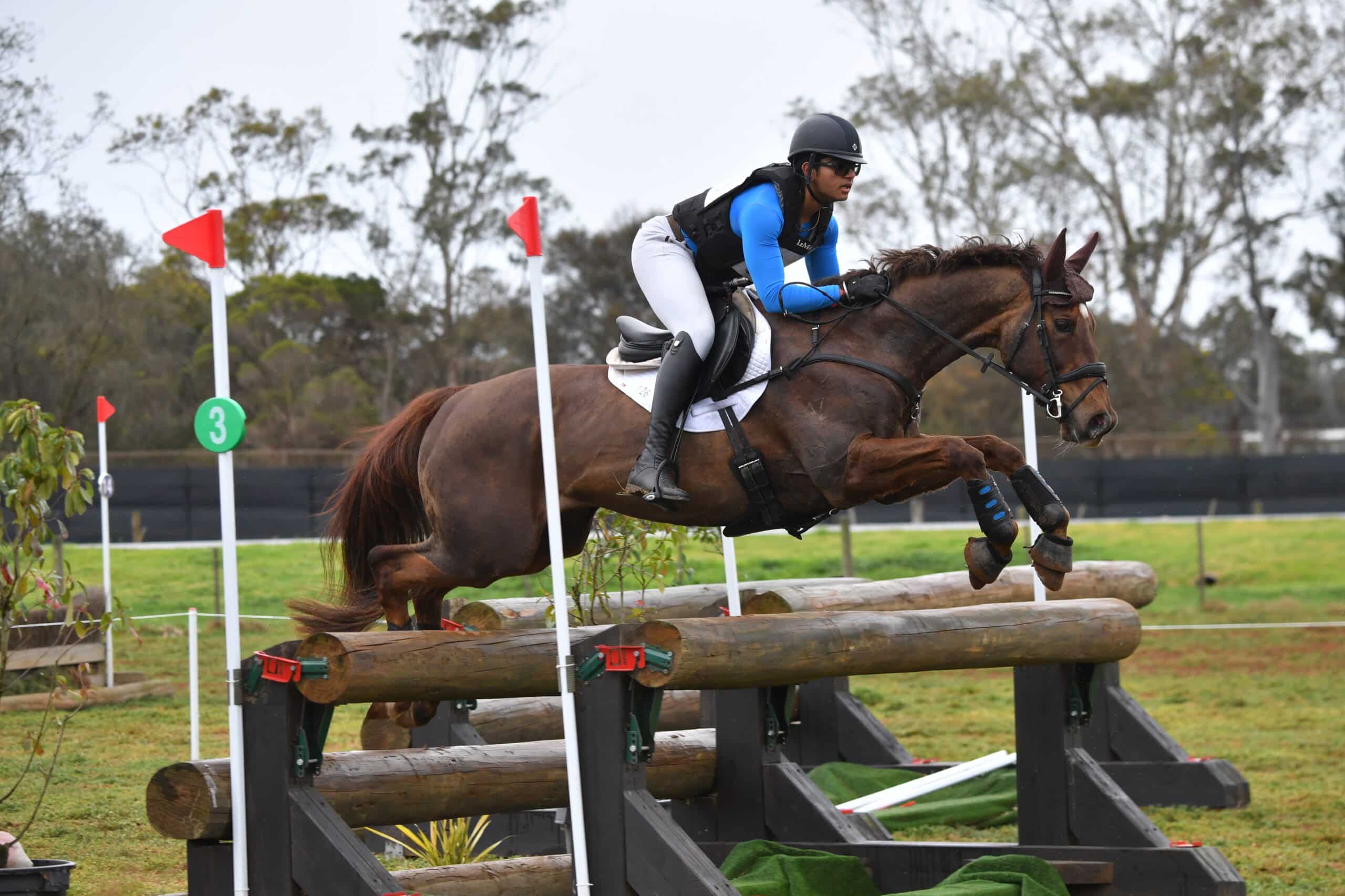 MORE TO COME THIS MONTH