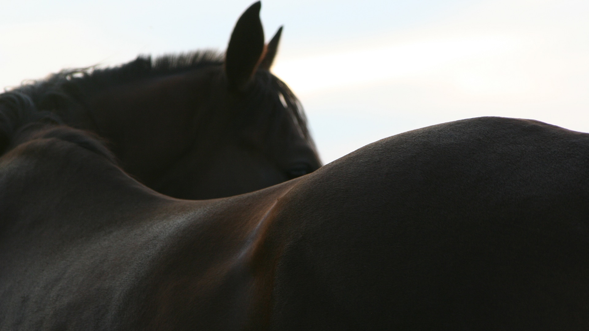 Magazine Banner Image