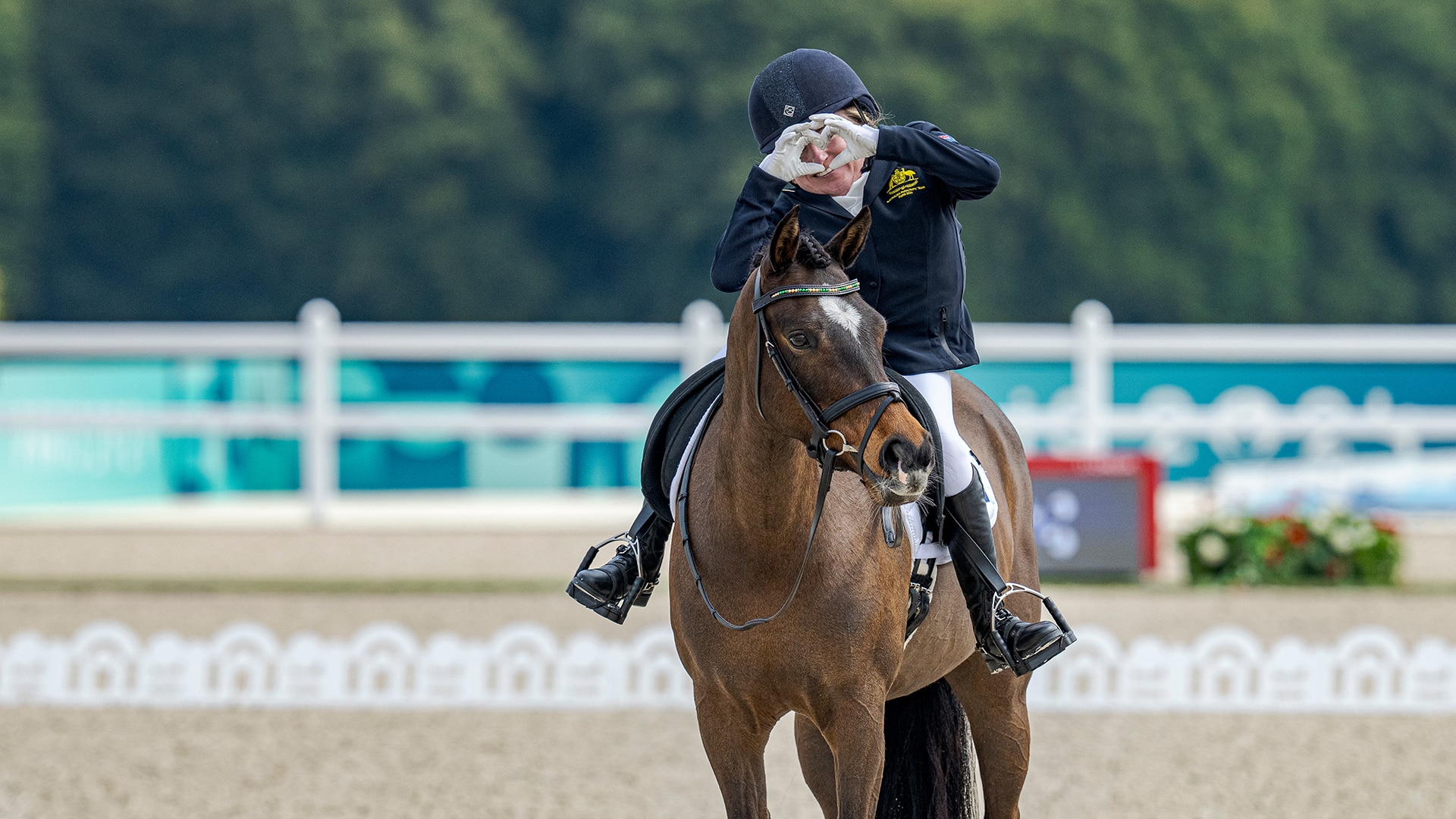 Magazine Banner Image