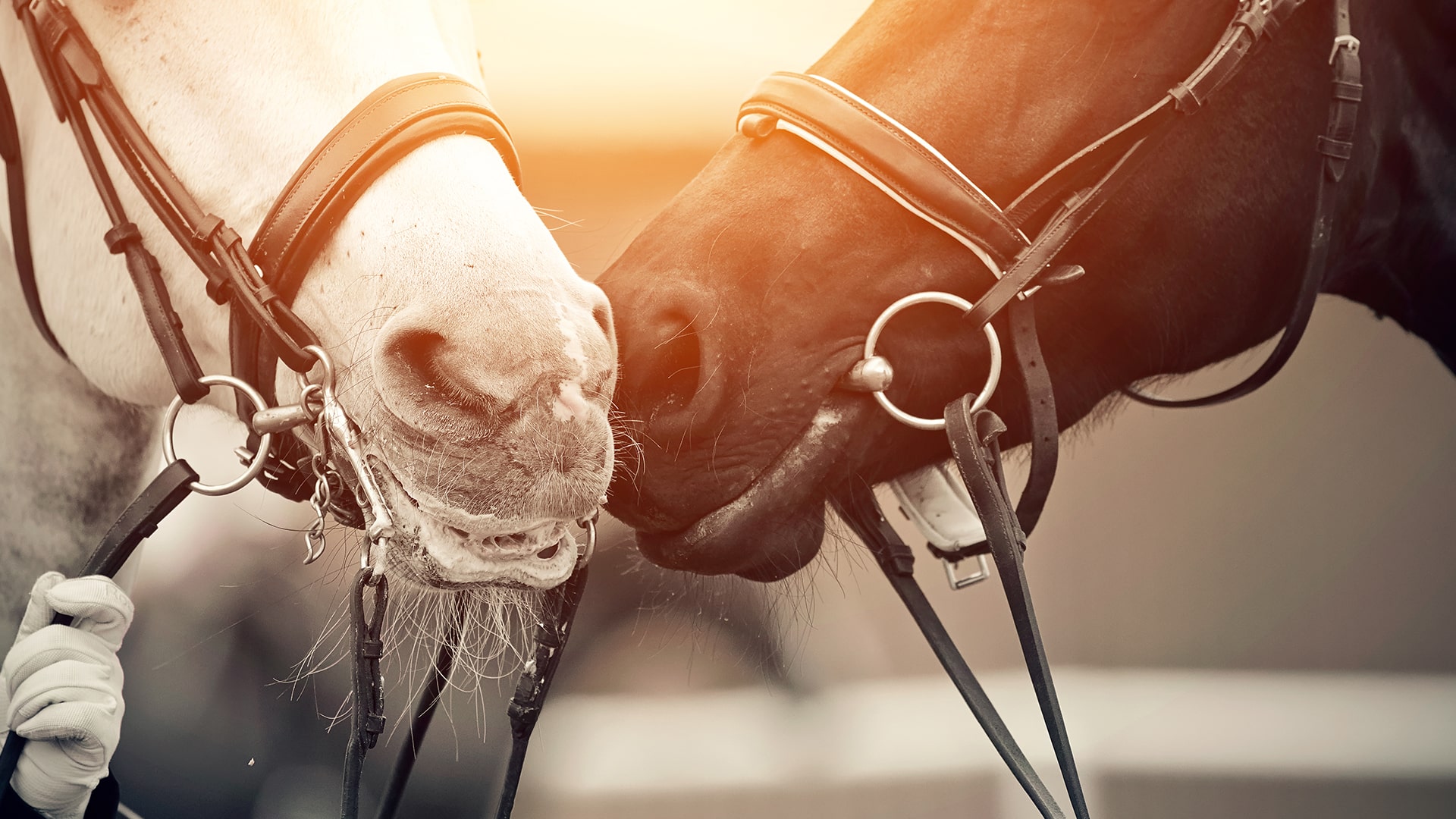 Magazine Banner Image