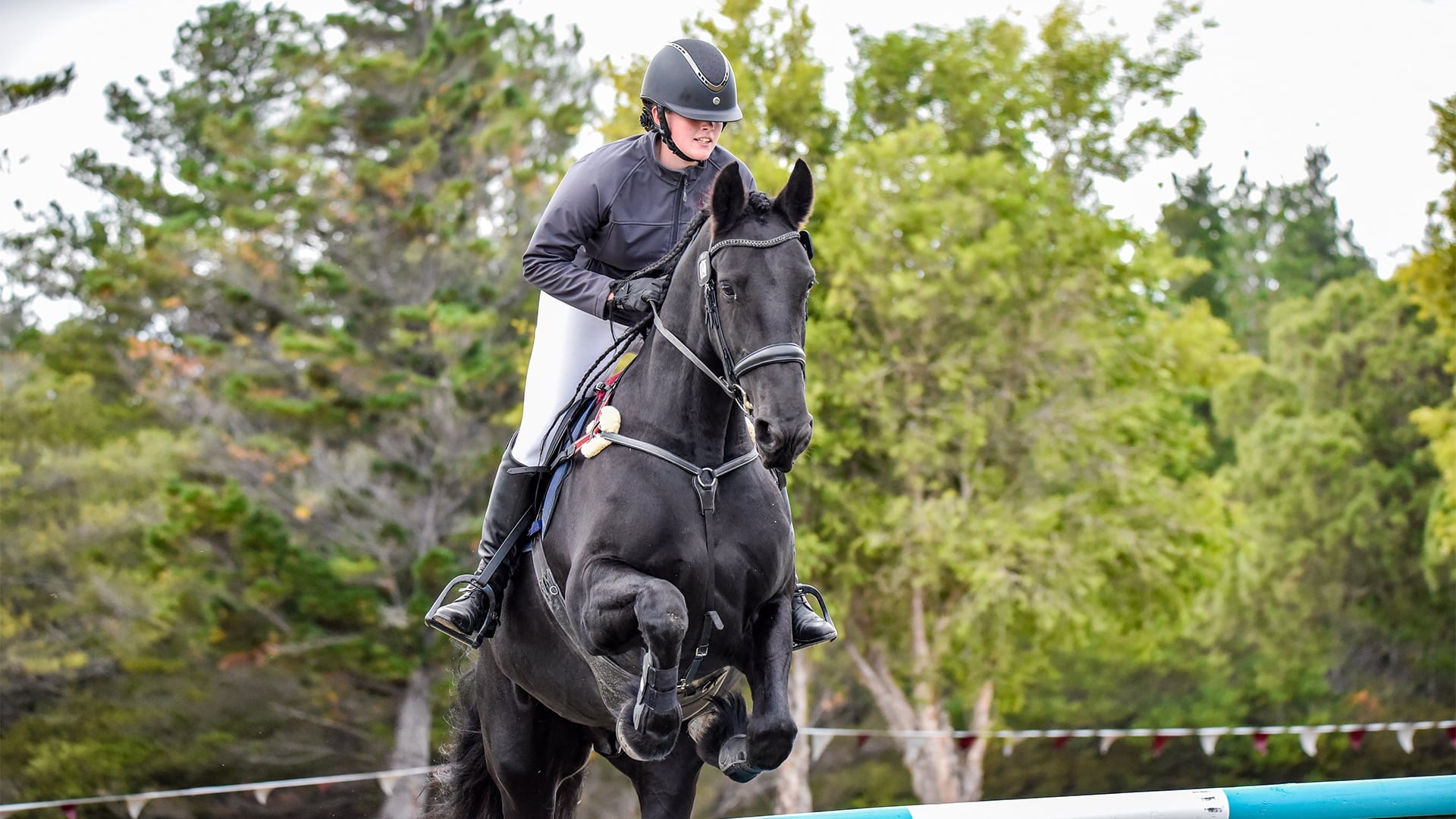 THE FRIESIAN FINDING HER RHYTHM WITH SARA LEITCH