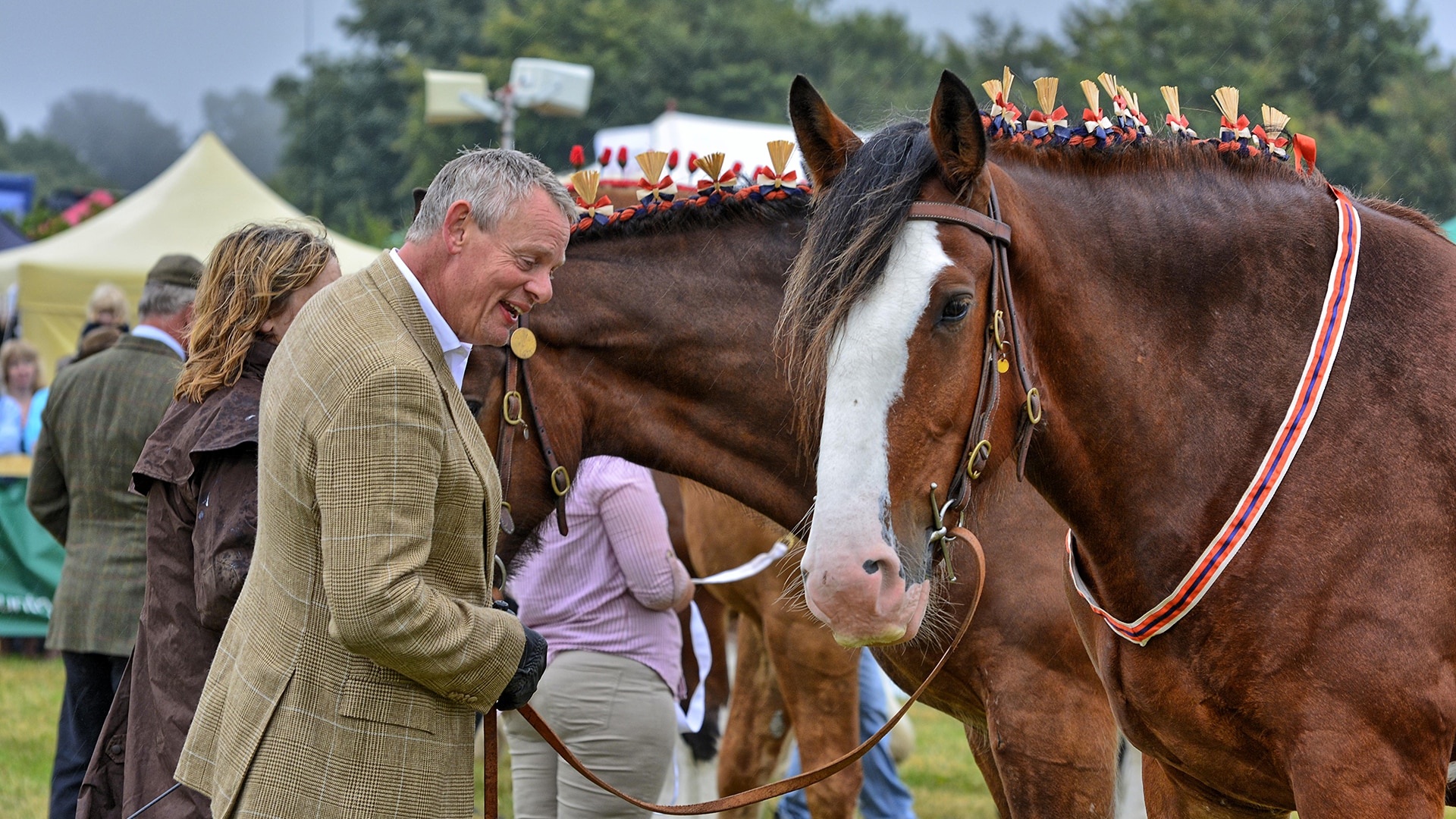 MARTIN CLUNES RIGHT AT HOME IN ‘HEAVY HORSEPOWER’