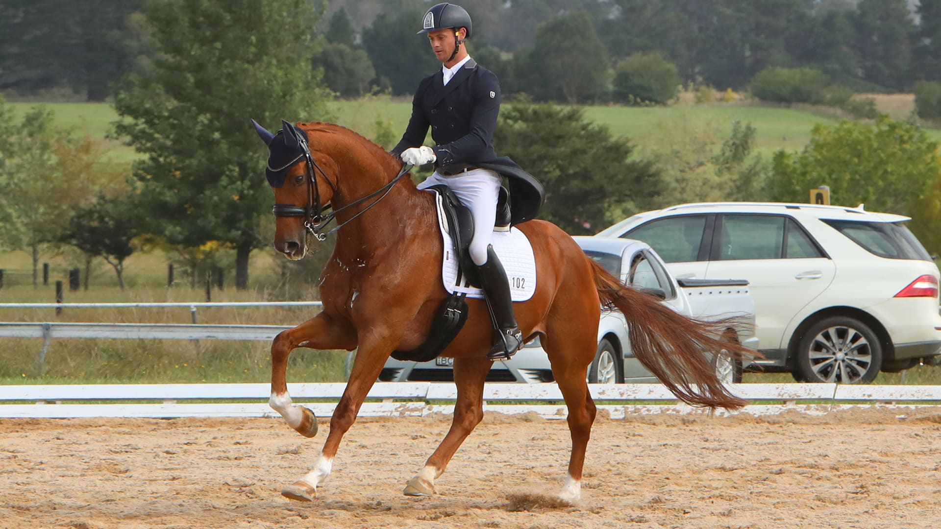 FAREWELL FORLAN, A MUCH-LOVED FAMILY MEMBER