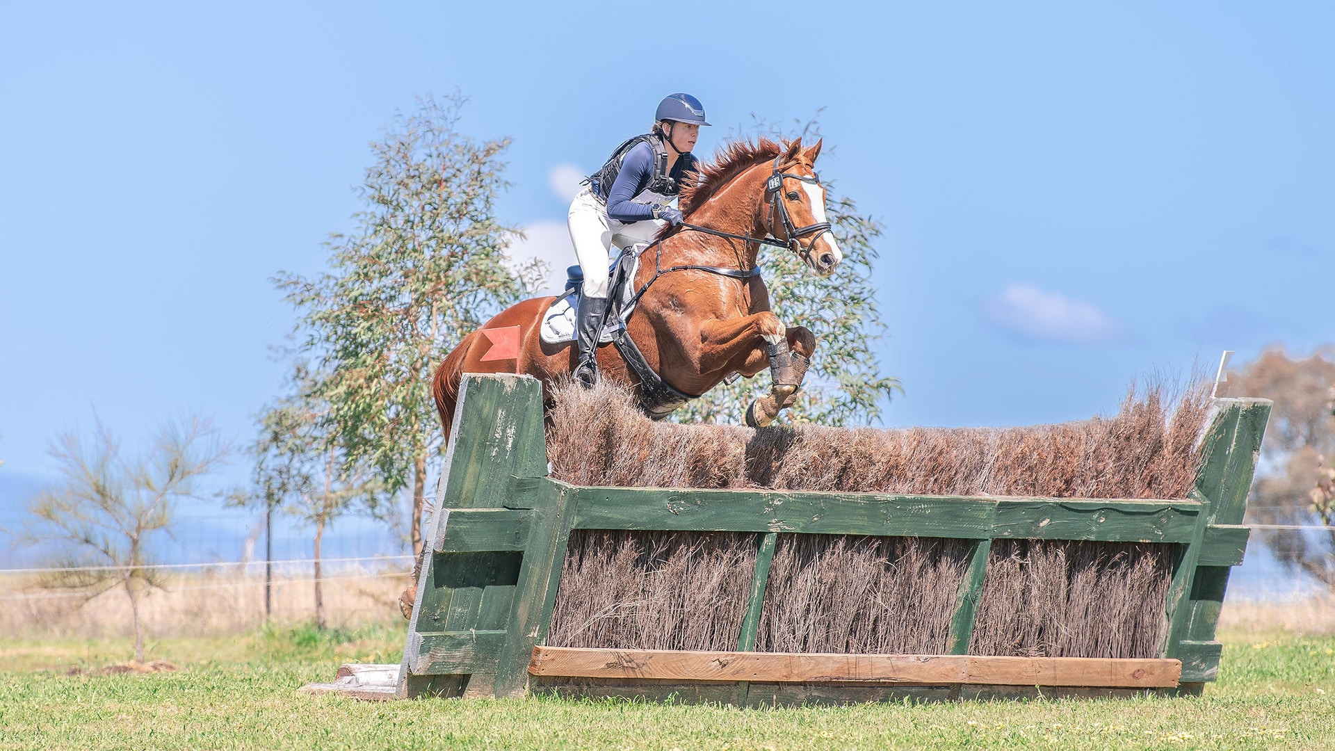 Magazine Banner Image