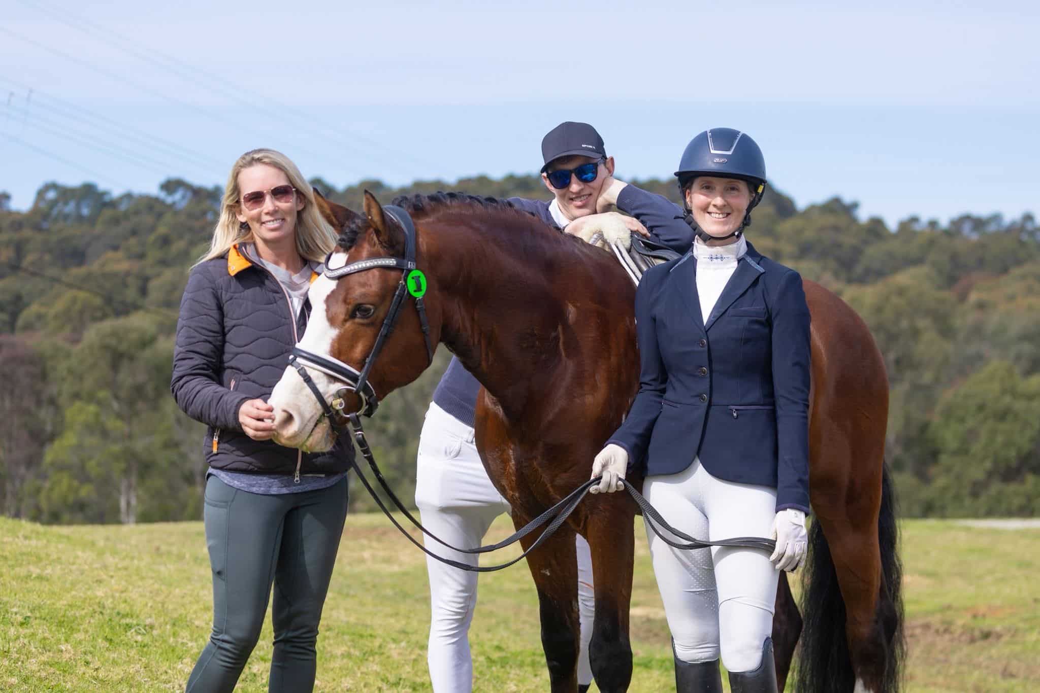 MR HOLLYWOOD THE PONY STAR