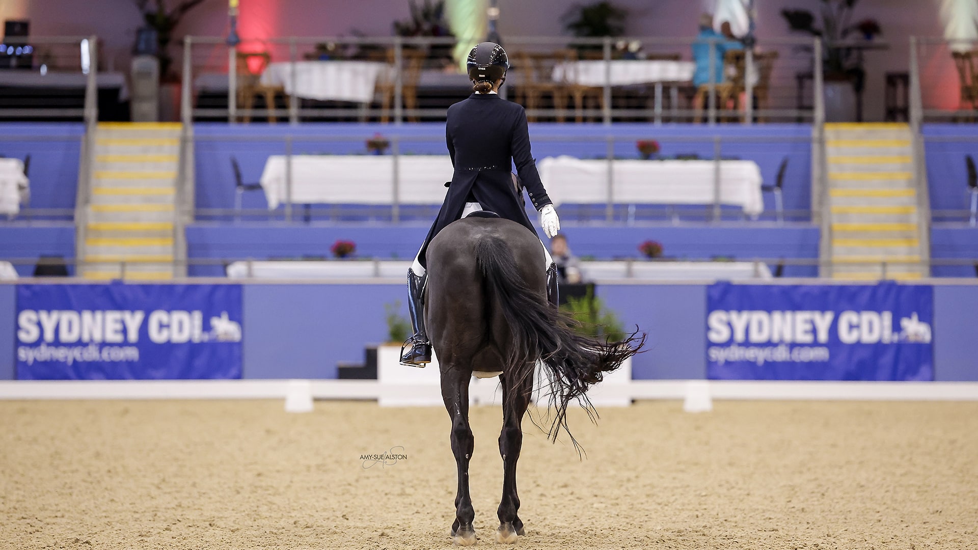 Magazine Banner Image