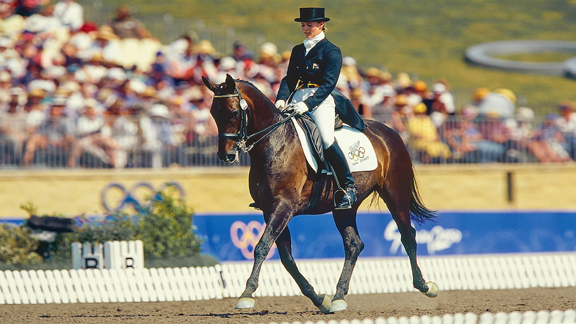 Magazine Banner Image